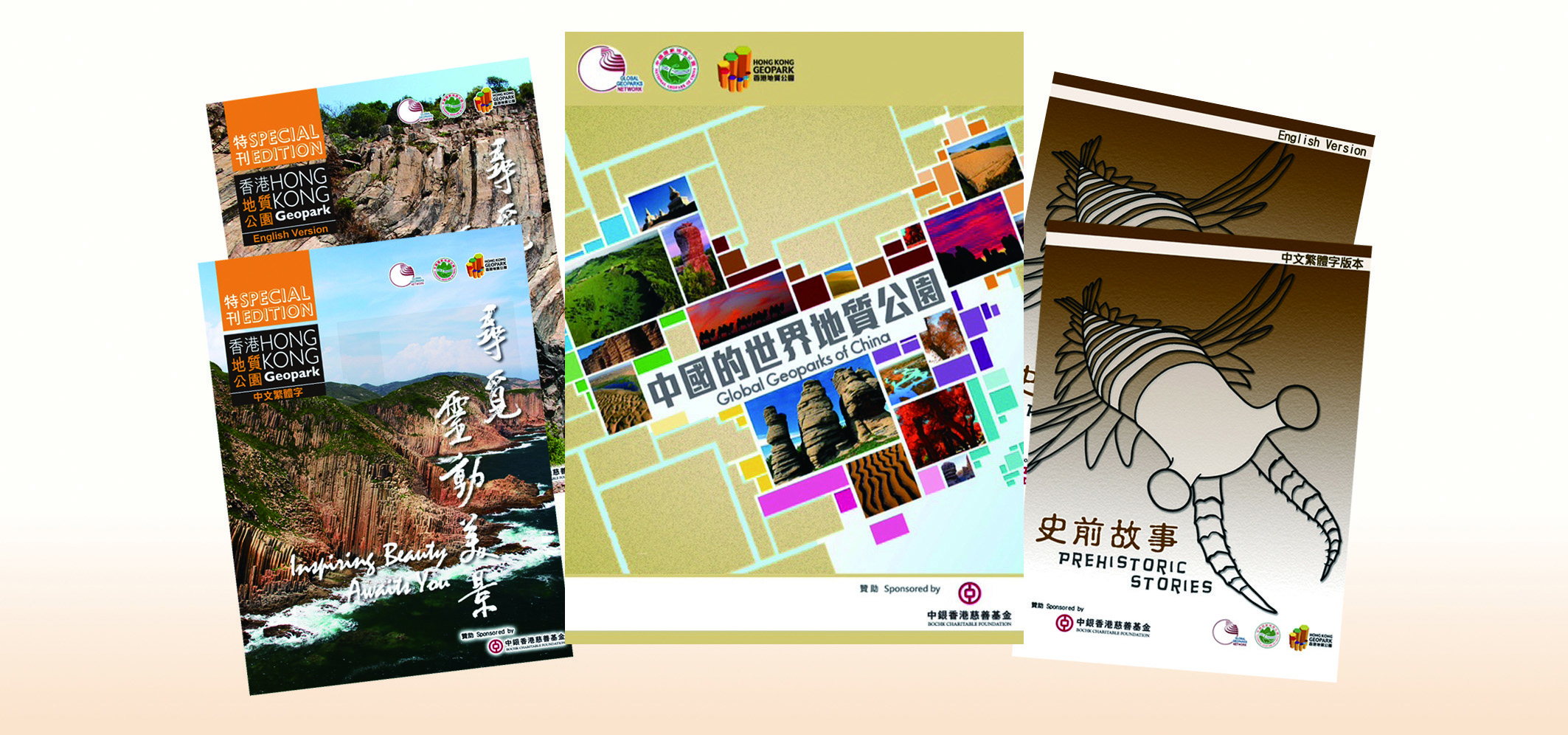 Tern & Hong Kong Geopark Tour